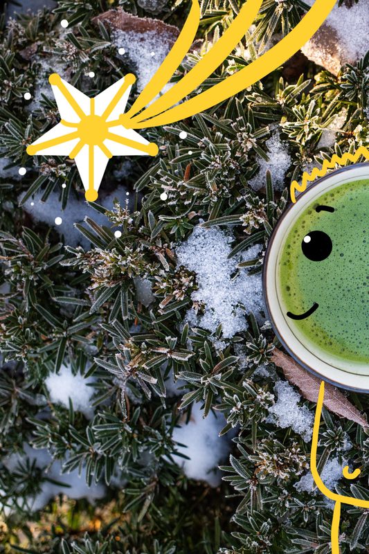 matcha creations, photograph 4 of 47