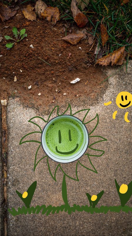 matcha creations, photograph 18 of 47
