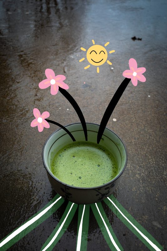 matcha creations, photograph 20 of 47