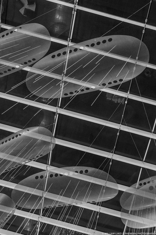 perturbed, photograph 26 of 33