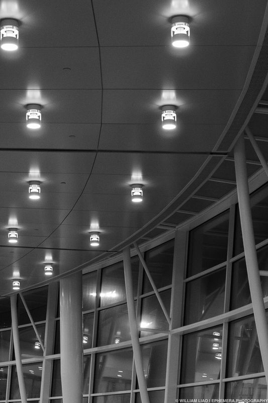 perturbed, photograph 27 of 33