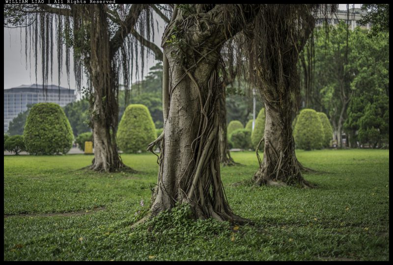 unperturbed, photograph 16 of 32