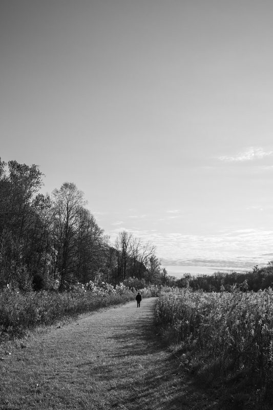 unperturbed, photograph 17 of 32