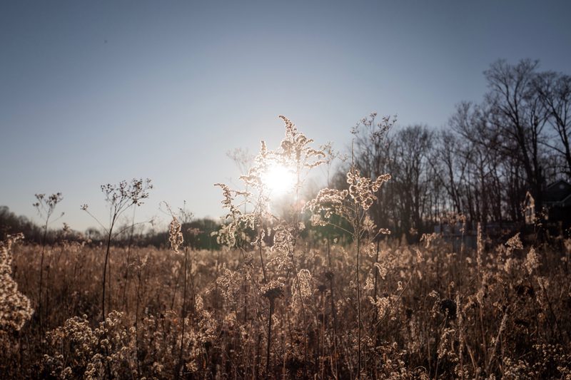 unperturbed, photograph 27 of 32