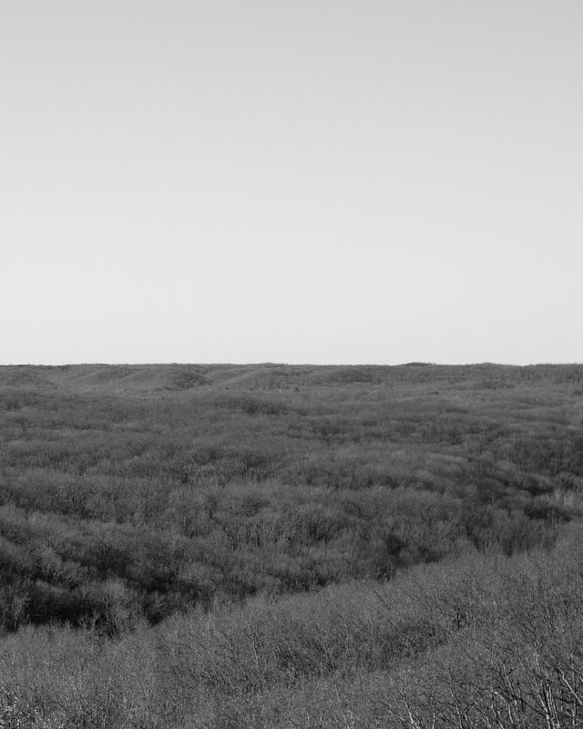 unperturbed, photograph 29 of 32